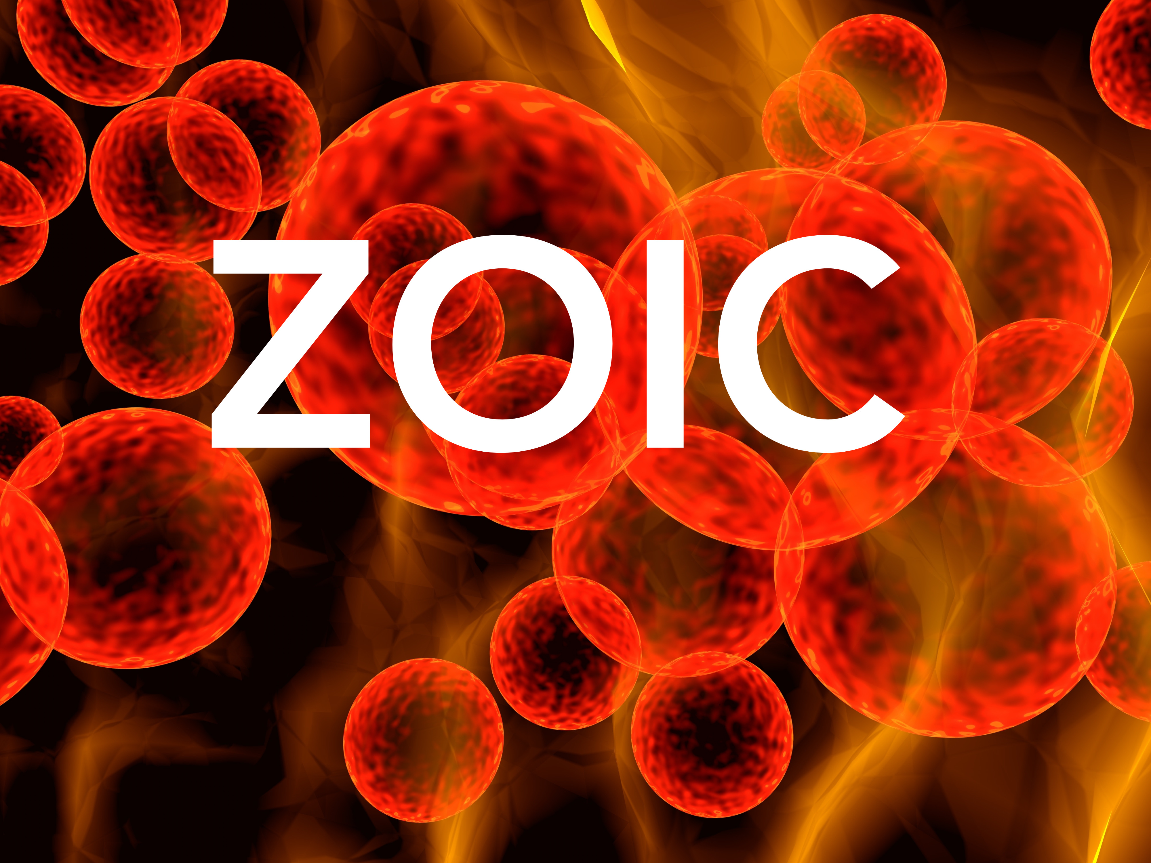Zoic Capital